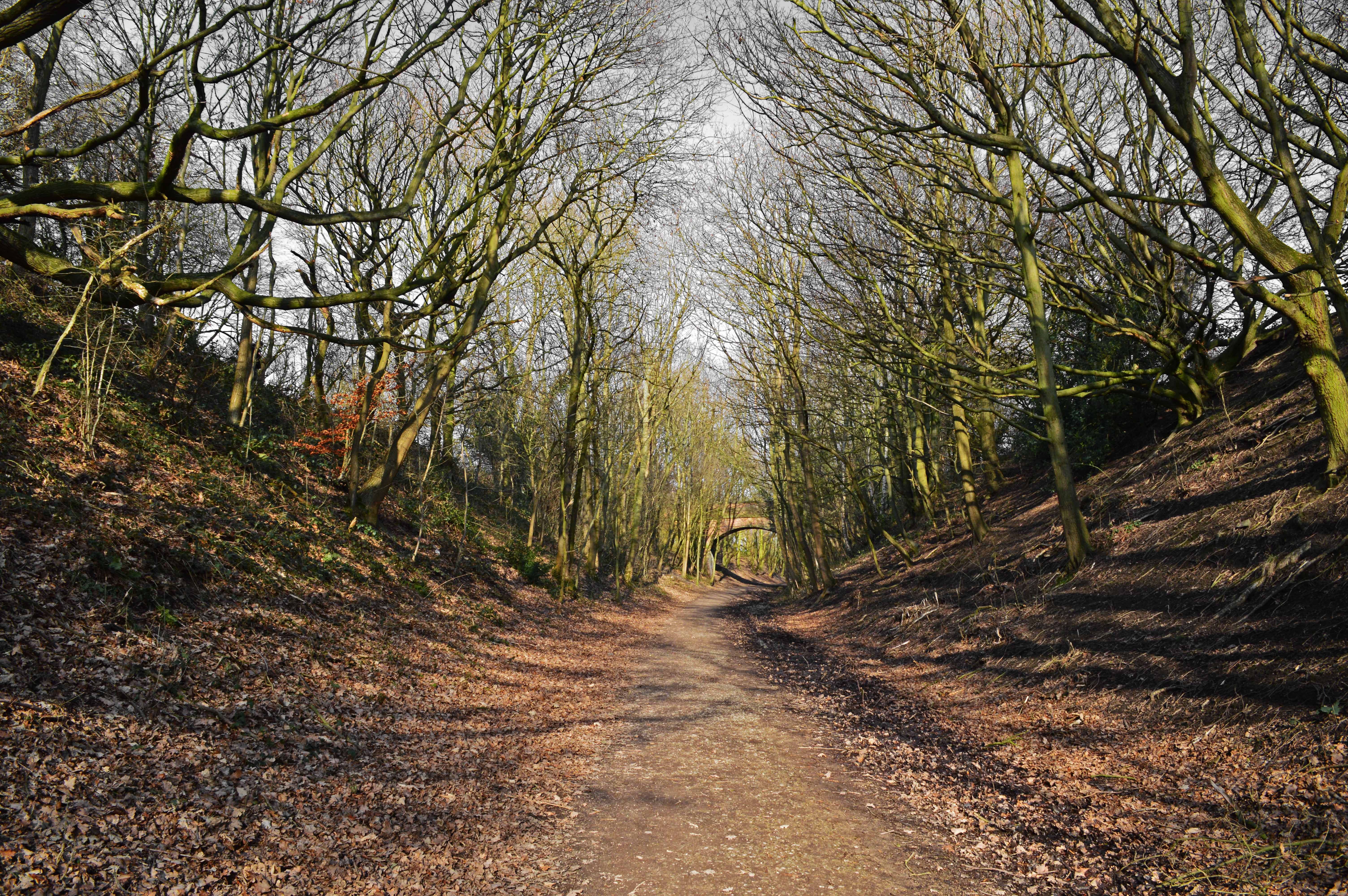 photo competion - stephen barrett